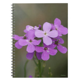 Cuaderno Cohetes de Damas Flores Silvestres Moradas F19