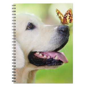 Cuaderno Cojín decorativo De Labrador Y Mariposa
