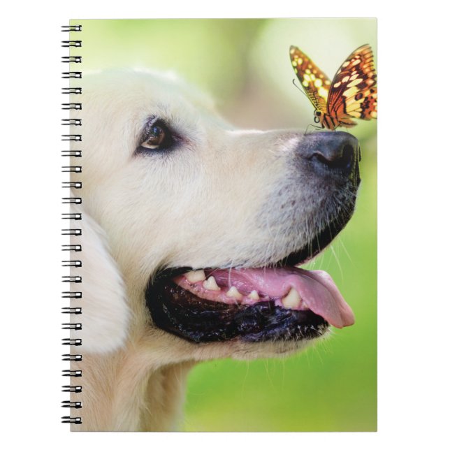 Cuaderno Cojín decorativo De Labrador Y Mariposa (Frente)