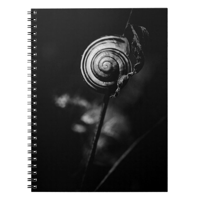 Cuaderno cola de caracol (Frente)
