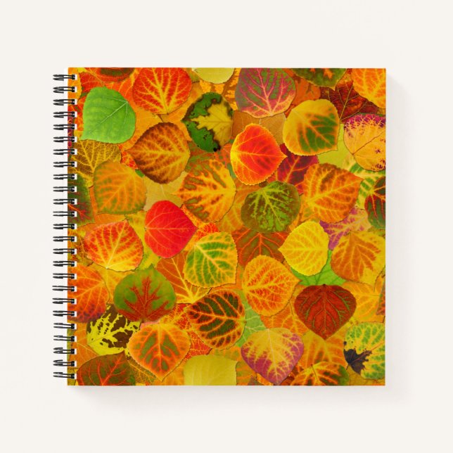 Cuaderno Colección Aspen Leaves maciza sin soldadura 1 (Anverso)