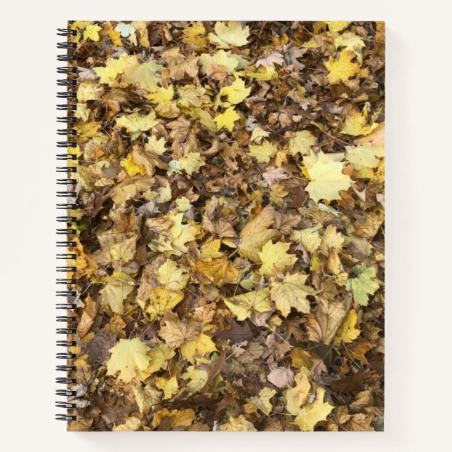 Cuaderno Colección de hojas amarillas de otoño (Anverso)