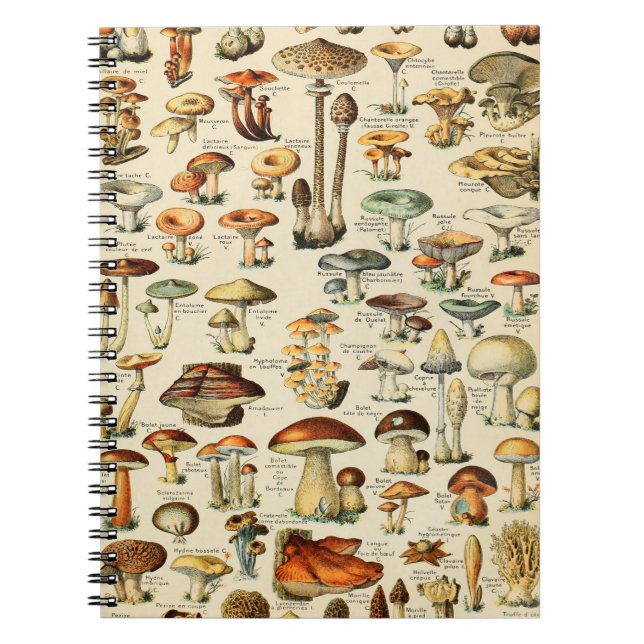 Cuaderno Colección de hongos (Frente)
