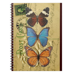 Cuaderno Colección de mariposas