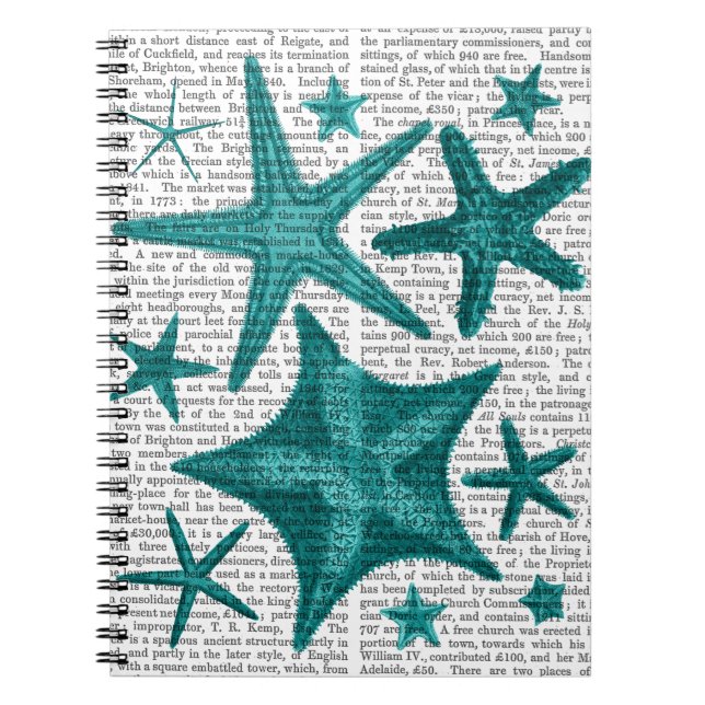 Cuaderno Colección de Starfish Verde 2 (Frente)