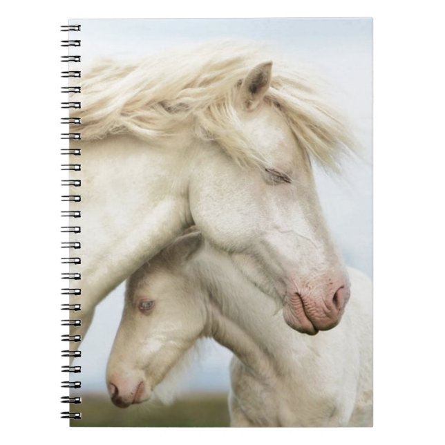Cuaderno Colección del caballo (Frente)