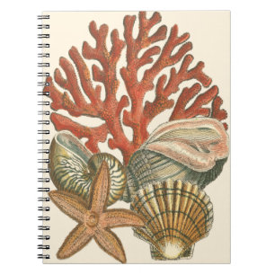 Cuaderno Colección Sealife