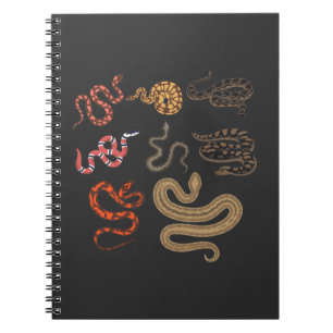 Cuaderno Coleccionista de reptiles cazadores de serpientes: