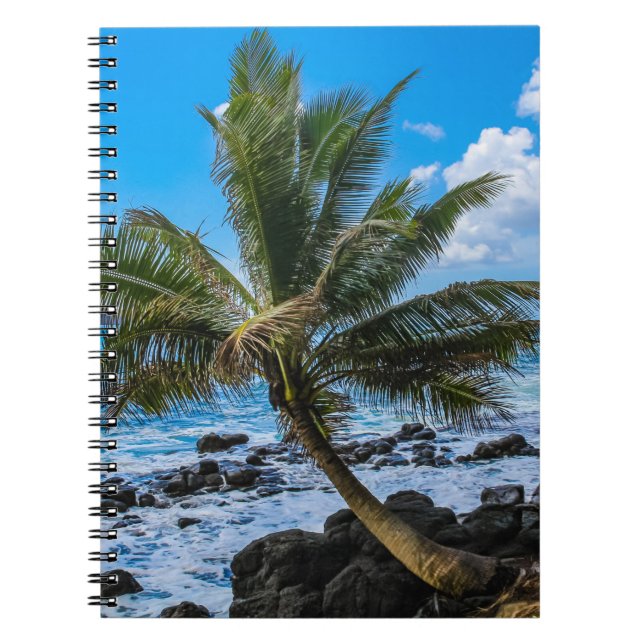 Cuaderno Colgando... (Frente)