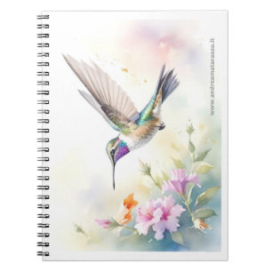 Cuaderno Colibrí