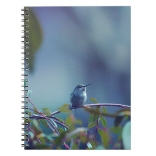 Cuaderno Colibrí 5738