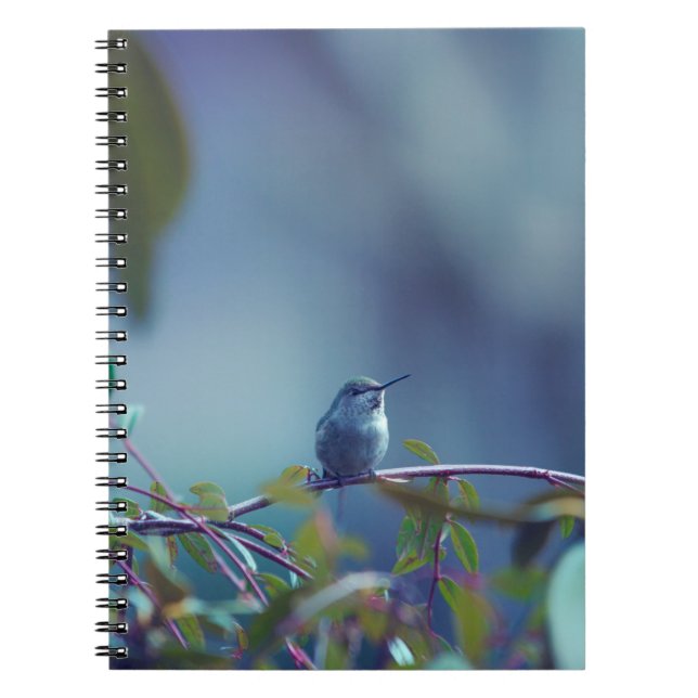 Cuaderno Colibrí 5738 (Frente)