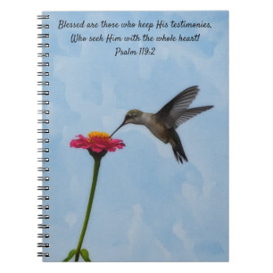 Cuaderno Colibrí Buscando Verso Bíblico de Néctar Oración