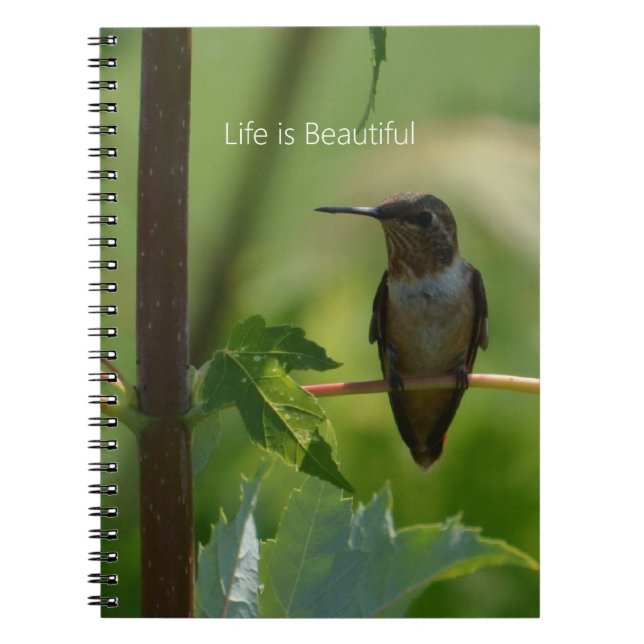 Cuaderno Colibrí en Rama (mi fotografía) (Frente)