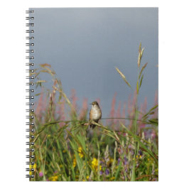 Cuaderno Colibrí gorda