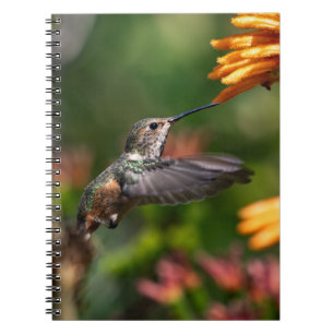 Cuaderno Colibrí suspendido con flores - Foto de vida silve