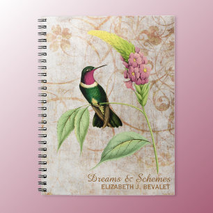 Cuaderno Colibrí Throated Amethyst
