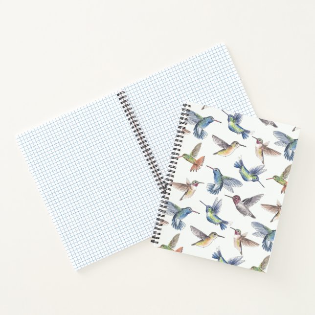 Cuaderno Colibríes (Interior)