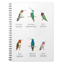 Cuaderno Colibríes de Norteamérica