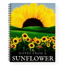 COLINA DE GIRASOLES