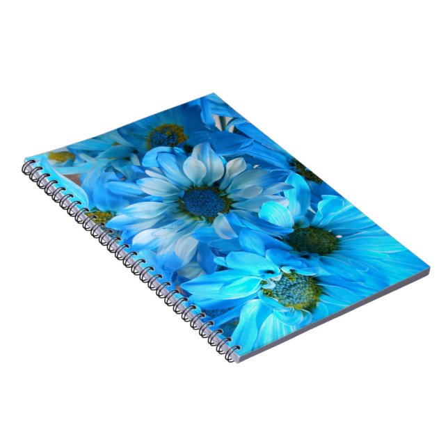 Cuaderno Collaert (Lado Derecho)