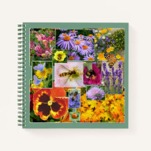 Collage de flores e insectos de belleza natural