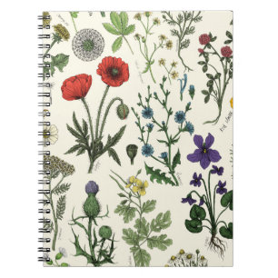Cuaderno Collage de flores silvestres