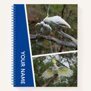 Cuaderno Collage de fotos de loro australiano Cacatúa azul