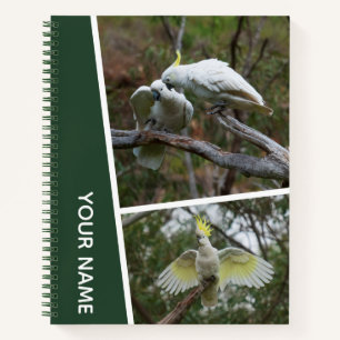 Cuaderno Collage de fotos de loro australiano cacatúa verde