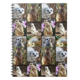 Cuaderno Collage de fotos Meerkat,