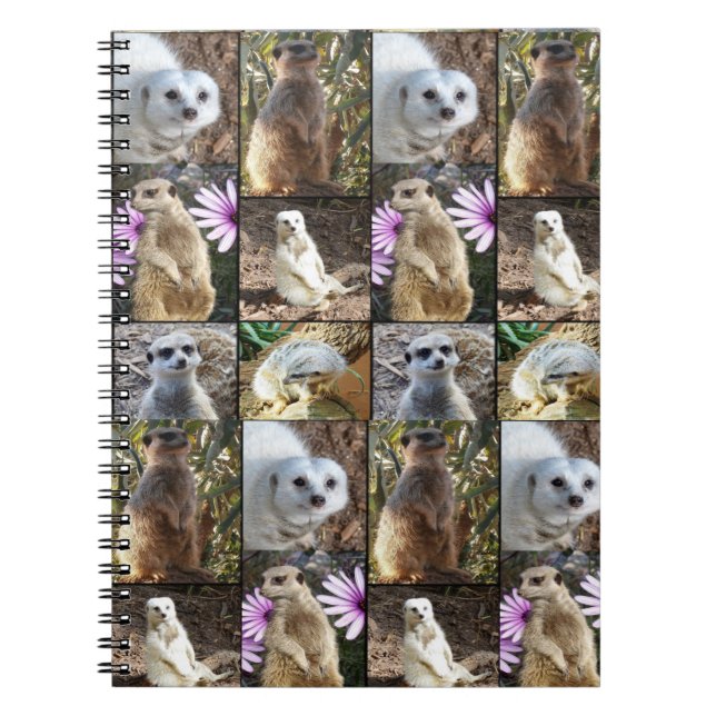 Cuaderno Collage de fotos Meerkat, (Frente)