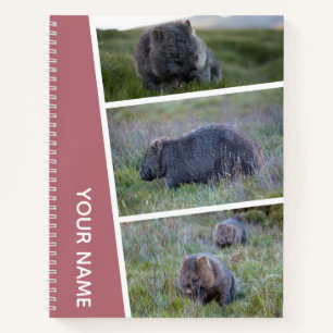 Cuaderno Collage de fotos Wombat Australia, oro Rosa