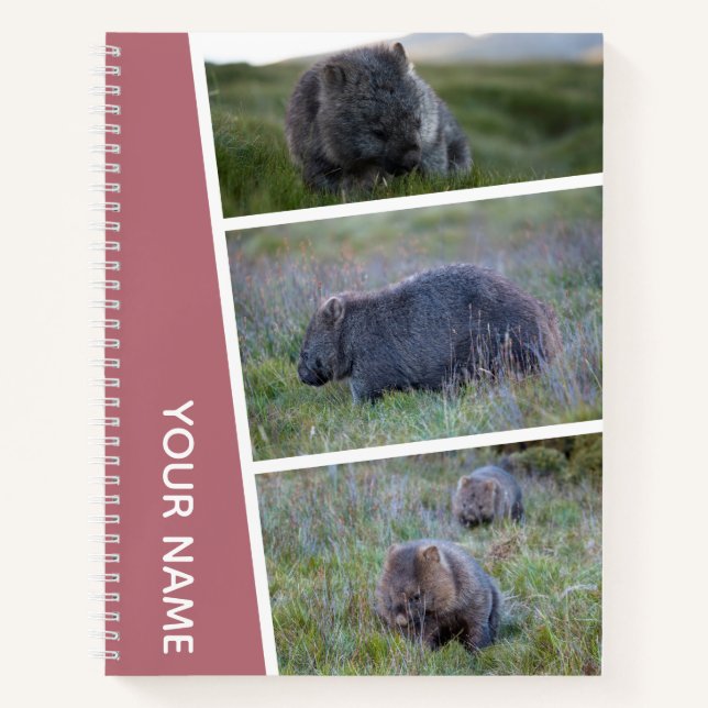 Cuaderno Collage de fotos Wombat Australia, oro Rosa (Anverso)