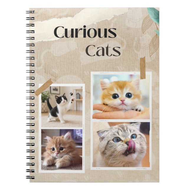 Cuaderno Collage de Gatos Curiosos (Frente)