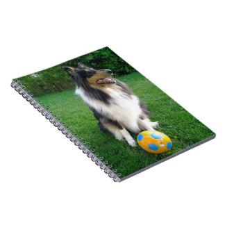 Cuaderno Collie