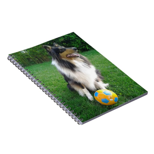 Cuaderno Collie (Lado Derecho)