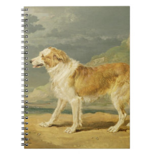 Cuaderno collie Áspero-revestido, 1809 (aceite a bordo)