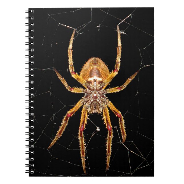 Cuaderno colombia de araña macro de insectos (Frente)