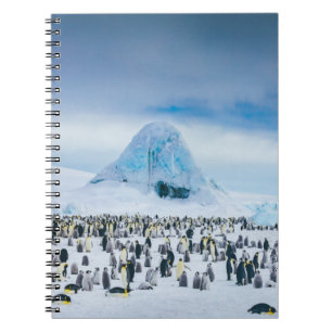 Cuaderno Colonia Emperador Pingüino