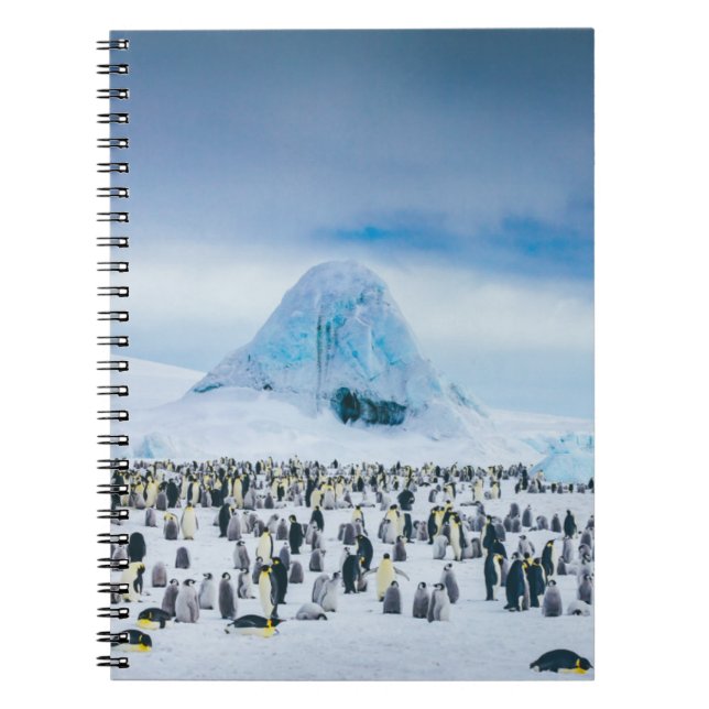 Cuaderno Colonia Emperador Pingüino (Frente)