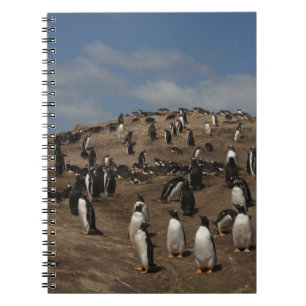 Cuaderno Colonia Gentoo Penguin (Pygoscelis papua) en el oe