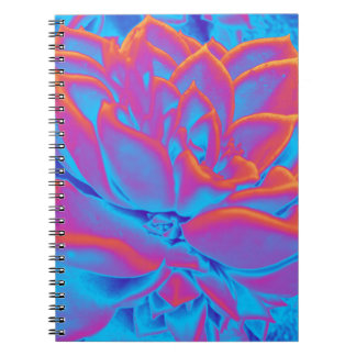Cuaderno Color arcoiris Suculento planta