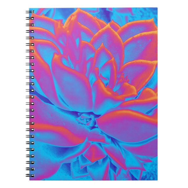 Cuaderno Color arcoiris Suculento planta (Frente)