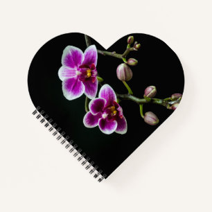 Cuaderno Color blanco rosado orquídea sobre blanco pálido n