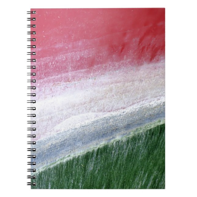Cuaderno Color de la sandía - libro de noticias (Frente)