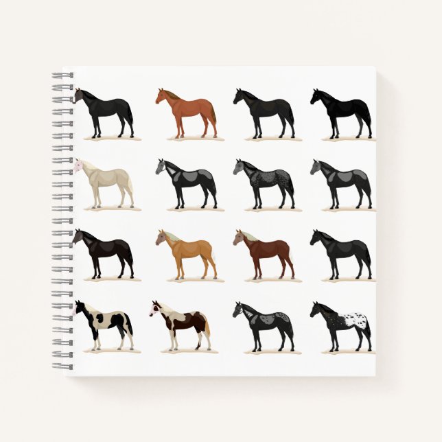 Cuaderno color de pelo de caballo (Anverso)