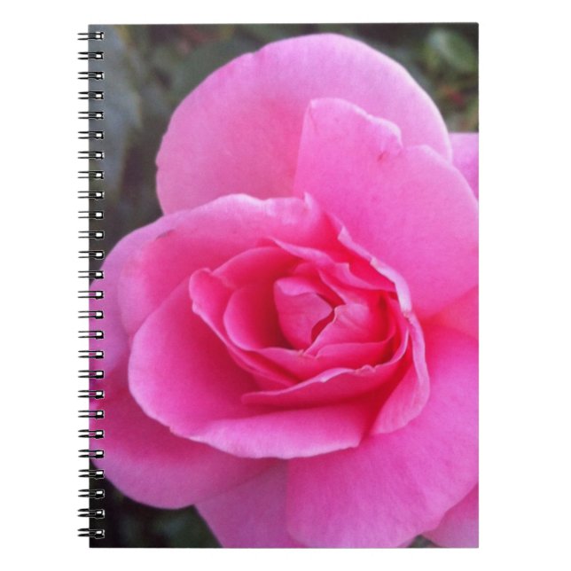 Cuaderno - color de rosa rosado (Frente)