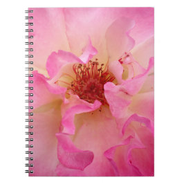 Cuaderno color de rosa rosado