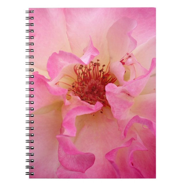 Cuaderno color de rosa rosado (Frente)
