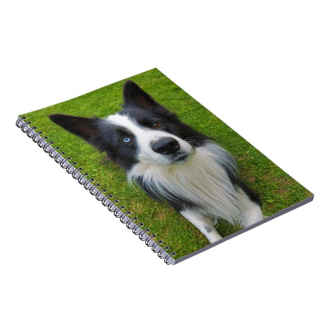 Cuaderno Color del borde (Lado Derecho)
